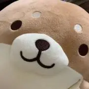 むっちゃんの画像