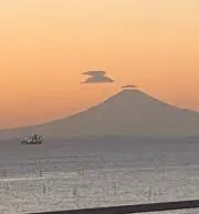 malumaluの画像