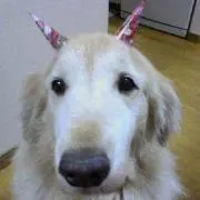 みにぃまま