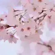 tommy☆  自己紹介読んで下さい！！の画像