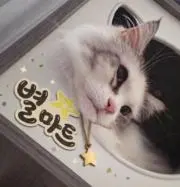 びょる⭐︎の画像