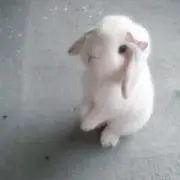 kn。の画像