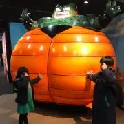 よっぴーの画像