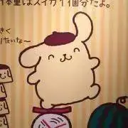 ぽむの画像