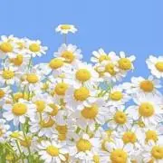 プロフご覧ください☺️の画像