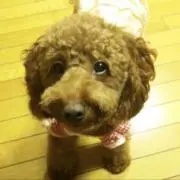 直くん