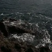 fmfmの画像