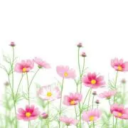 うっしー❀の画像