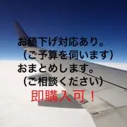 ALE＠プロフ必読( ◎∀◎)・ё・)♪