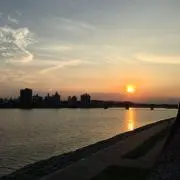 ボンドの画像