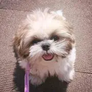 Julie