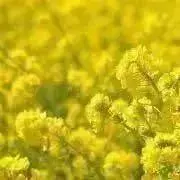 MINA⭐︎値下げ交渉不可の画像