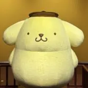 そら豆の画像