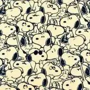 ズズの画像