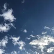 おはぎの画像