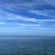 こはつ