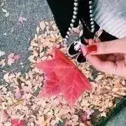 きゃらめるの画像