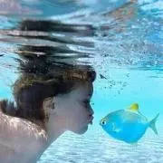 ハルの画像