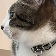 YAMATO