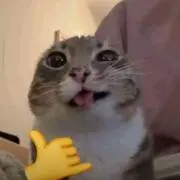 Jarr