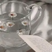 はなの画像