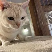 たけちゃんの画像