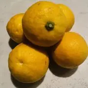 柚　らくらく↔︎ゆうゆう変更ありの画像