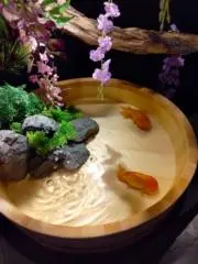 miminekoの画像
