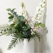 もっちーの画像
