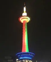 ジャッカル