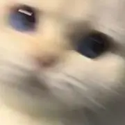 ✩の画像