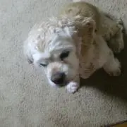 のあの画像