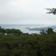 Miaya
