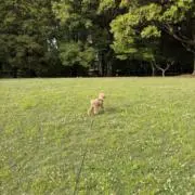 ゆうの画像