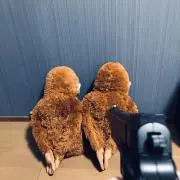 おさかな天国の画像