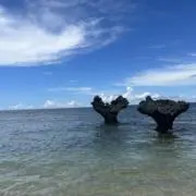 ☆ゆみ☆の画像