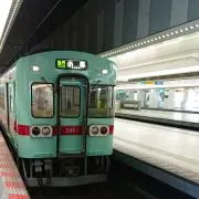銀草の画像