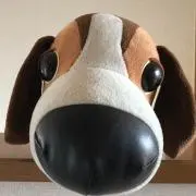 まちゃの画像