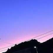ささの画像