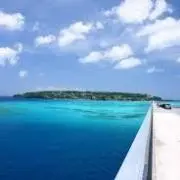 MICHINARIの画像