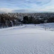 Koji  Kimuraの画像