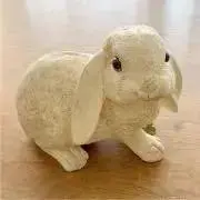 noixの画像
