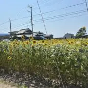 AKの画像