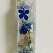 みかんの画像