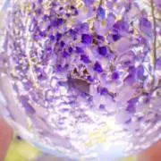 はるかの画像