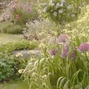 sweet_flowersの画像