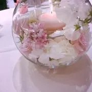 Appleの画像