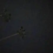 Naaの画像