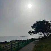 ☺︎の画像