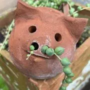 PUCCIの画像
